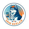 SmmReklam